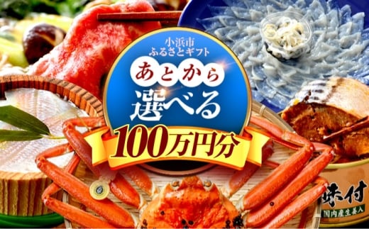【あとから選べる】 福井県小浜市ふるさとギフト 100万円分 海産物 箸 お米 スイーツ あとから ギフト [BFDV027]