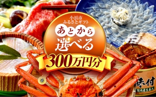 【あとから選べる】 福井県小浜市ふるさとギフト 300万円分 海産物 箸 お米 スイーツ あとから ギフト [BFDV029]