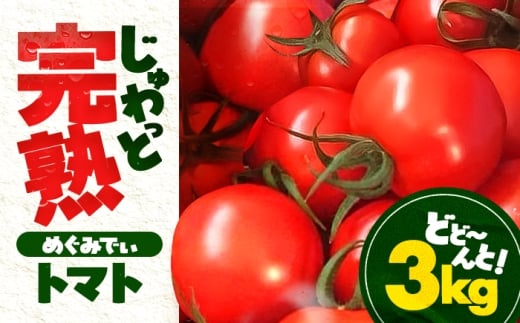 完熟 めぐみでぃトマト 3kg （毎週水曜日発送） / とまと トマト 完熟トマト 高糖度 トマト 取り寄せ / 小浜市 / 若狭の恵 【配送不可地域：離島】 [BFAG030]
