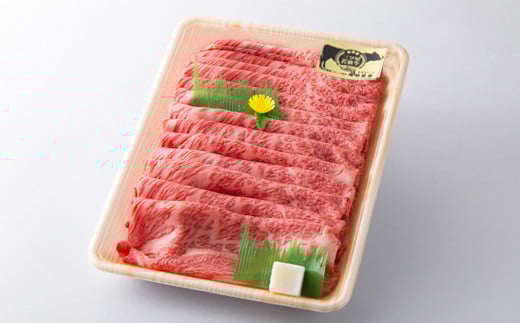 三ツ星 若狭牛 ロース または 肩ロース スライス 550g｜牛肉 和牛 焼肉 若狭牛お肉 肉 肉セット 冷凍 550g ブランド牛 牛丼 炒め物 三ツ星牛 三ツ星 ギフト 贈答   【配送不可地域：北海道・沖縄・離島】  [BFAP005]