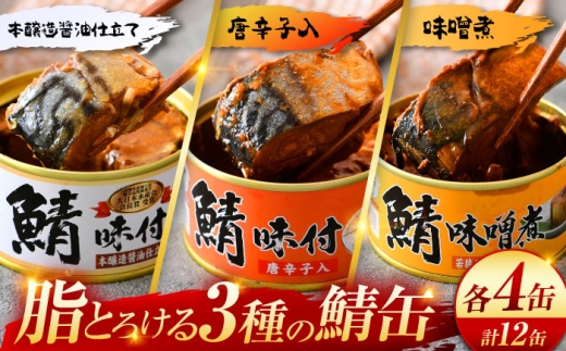 鯖缶詰12缶詰め合わせB 180g×12缶|サバ缶 鯖缶 さば缶 鯖 サバ さば 缶詰 サバ缶詰 鯖缶詰 缶 詰合せ 詰め合せ セット 非常食 防災 備蓄 常温 常備食 保存食 [BFAB035]