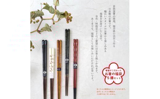 箸屋がこだわったお箸の福袋 5膳入|日本製 箸 伝統工芸品 日用品 木彫り 木 若狭塗 天然 おしゃれ カラフル 新年 新しいお箸 新生活 新生活準備 5色 塗り箸 国産 送料無料 [BFDC001]