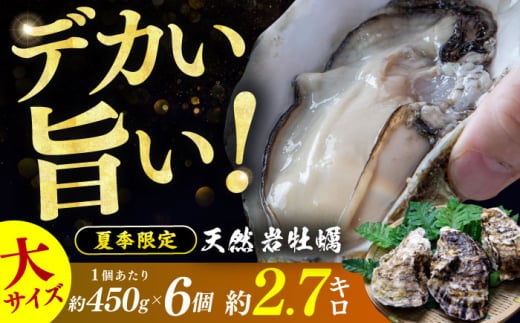【先行予約 / 2026年6月下旬より順次発送】 若狭湾 生食用 天然岩牡蠣 大6個（軍手、牡蠣ナイフ付き） 小浜市 / 加福鮮魚【配送不可地域：北海道・沖縄・離島】 [BFBC009]