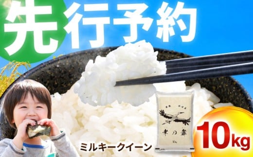 【 先行予約 /11月以降発送】 【令和7年産】 特別栽培米 福井県産 ミルキークイーン 10kg / お米 白米 ブランド米 小浜市 / 今富の宝 [BFCI004]