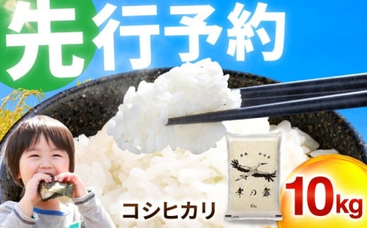【 先行予約 /11月以降発送】 【令和7年産】 特別栽培米 福井県産 コシヒカリ 10kg お米 白米 小浜市 / 今富の宝 [BFCI005]