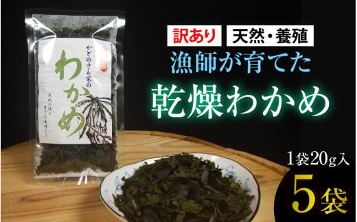 【訳あり】【天然・養殖】漁師が育てた 乾燥わかめ 5袋 小浜市 / 釣り船・民宿かどの [BFBG006]