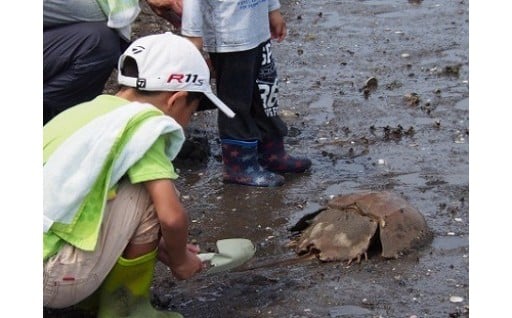 9.環境共生都市実現プロジェクト