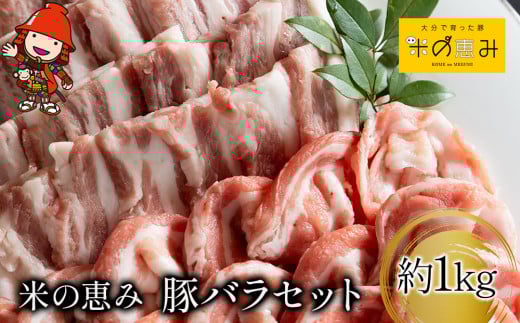 「米の恵み」豚バラセット (焼肉・しゃぶしゃぶ) 約1kg | お肉 肉 おにく にく 豚 豚肉 国産豚肉 ブランド豚 豚バラ セット 焼肉 焼き肉 しゃぶしゃぶ 惣菜 おかず 冷凍 国産 大分県産 九州産 大分県 中津市