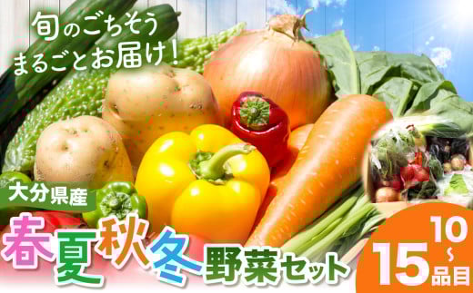 【JA直売所直送】春夏秋冬野菜セット | 野菜 やさい ヤサイ セット 旬 産地直送 大分県産 10~15品 国産野菜 大分県 中津市