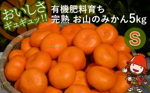 【先行予約】【数量限定】大久保農場の有機肥料育ち完熟  お山のみかん 5kg(S)+3個 (傷み補償分) | フルーツ 果物 くだもの 蜜柑 ミカン みかん 柑橘 柑橘類 温州みかん 産地直送 国産 大分県 中津市