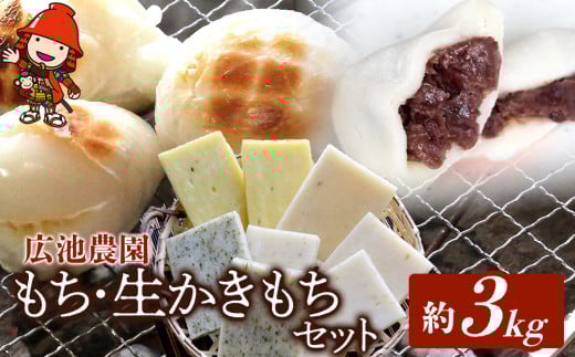 【期間・数量限定】広池農園もち・生かきもちセット 約3kg ( 冷凍小もち500g×2 冷凍あんもち6ヶ入×2 生かきもち×3パック ) | もち 生かきもち セット 3㎏ 3キロ 小もち あんもち かきもち 白餅 よもぎ餅 餅 生もち 大分県産 もち米 九州産 国産 冷凍 大分県 中津市