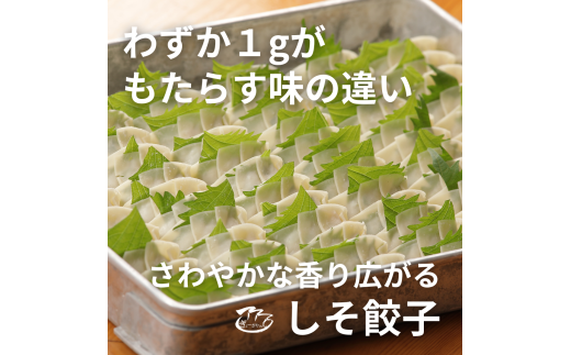 ㉔ぎょーざやさんのしそ餃子108個入り（027_5026）※北海道・沖縄・離島への配送不可