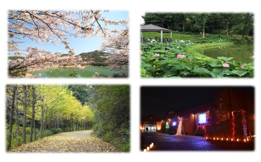 グローバル人材の育成に関する事業（000_001）