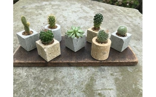 竜山石の植木鉢 〇 〇 2個セット  それぞれ黄色か青色を選んで備考欄にお書きください。 優しい肌ざわり 上品と素朴の共存 優しい 柔らか 重厚保感 高級感 ハイアロクラスタイト 稀な石