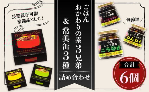 013-702 成美 「 ごはん おかわりの素 3兄弟 」＆「 常美缶 3種 」 詰め合わせ 〈計6個〉 缶詰 ご飯 お供 おつまみ