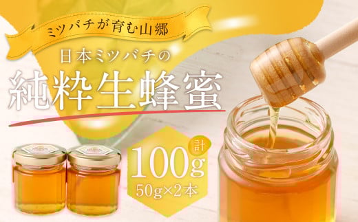 025-987x1 日本 ミツバチ の 純粋 生蜂蜜 100g [2025年11月下旬より順次発送予定]