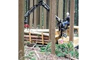 6．活気のあるまちづくり(活力ある産業)