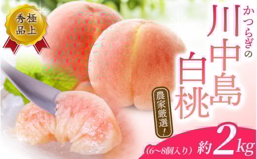 【先行予約】桃の王様 こだわり農家厳選 川中島白桃 和歌山産の桃 <大玉特秀品> 約2kg（6個~9個） 【2026年7月末頃～2026年8月末頃に順次発送予定】（お届け日指定不可）/ 桃 もも 川中島 白桃 フルーツ 果物 くだもの 【kgr011A】
