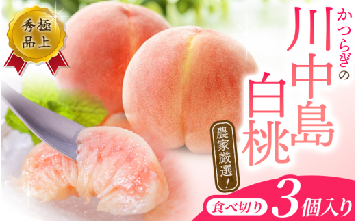 【先行予約】こだわり農家厳選 川中島白桃 和歌山産の桃 <大玉特秀品> 嬉しい食べきり容量 3玉 【2026年7月末頃～2026年8月末頃に順次発送予定】（お届け日指定不可）/ 桃 もも 川中島 白桃 フルーツ 果物 くだもの 【kgr012】