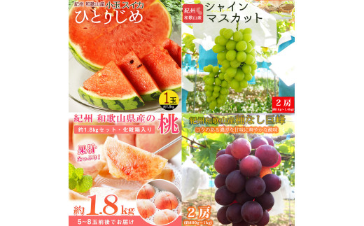 【全4回】紀州和歌山産旬のフルーツ定期便 (スイカ・桃・巨峰・シャインマスカット) / すいか スイカ もも 桃 白桃 巨峰 マスカット シャインマスカット 葡萄 ぶどう 果物 くだもの フルーツ フルーツ定期便 和歌山【tkb421】