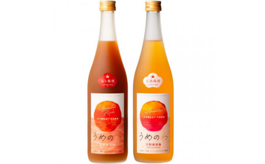 【紀州完熟南高梅使用】濃厚「ねり梅酒」と芳醇「梅酒」各720mlの飲み比べ  / 梅酒 梅 紀州梅酒 南高梅 うめ 梅干し お酒 酒 うめ酒 飲み比べ【tecj1003】
