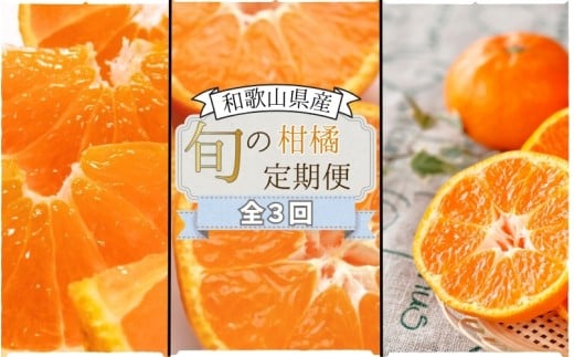 【全3回定期便】みかんの地和歌山から厳選してお届け！　人気の柑橘定期便/みかん 柑橘 果物 フルーツ 定期便 温州 ミカン 不知火 でこぽん せとか オレンジ 【tkb606】
