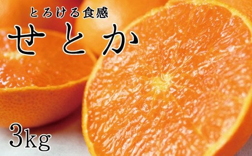 とろける食感！ジューシー柑橘 せとか 約3kg【予約】 ※2026年2月下旬頃〜2026年3月下旬頃発送(お届け日指定不可)/ せとか 果物 フルーツ くだもの みかん ミカン 和歌山 有田みかん 【uot506A】