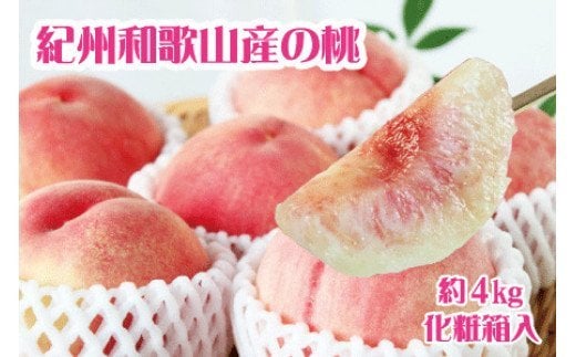 【先行予約】 紀州和歌山産の桃　約4kg　化粧箱入 ※2026年6月下旬頃〜2026年8月上旬頃順次発送（お届け日指定不可） / もも モモ 桃 ギフト 贈り物 プレゼント 夏ギフト 果物 フルーツ 人気 産地直送 和歌山県 お取り寄せ 【uot723A】