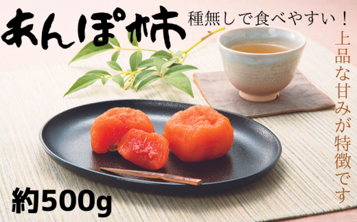 紀州かつらぎ山のあんぽ柿 化粧箱入 約500g ※2026年1月中旬頃~順次発送予定(お届け日指定不可) / 柿 果物 フルーツ くだもの 先行予約 【uot736】