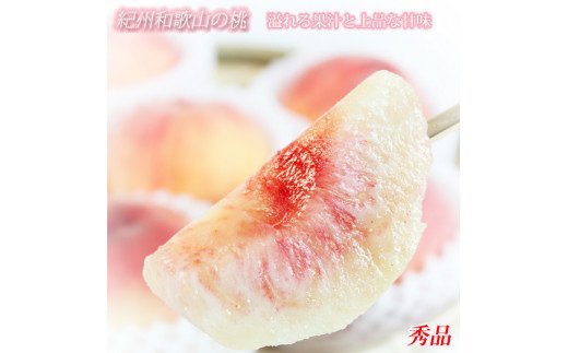 【先行予約】秀品　紀州和歌山産の桃　3玉　化粧箱入　※2026年6月下旬頃〜2026年8月上旬頃順次発送（お届け日指定不可）/ もも モモ 桃 ギフト 贈り物 プレゼント 夏ギフト 果物 フルーツ 人気 産地直送 和歌山県 お取り寄せ 【uot750】