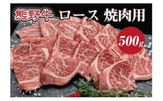 特選黒毛和牛 熊野牛 焼肉用ロース 約500g / 熊野 牛 お肉 にく 肉 和牛 和歌山 焼肉【mtf410A】