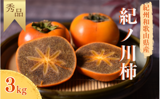 【☆令和7年産☆先行予約】【秀品】 紀ノ川柿  約3kg( 8個~10個入り ) 2L~4Lサイズおまかせ 紀美野町産 【2025年10月中旬~11月上旬に順次発送致します。】/ 和歌山県 紀美野町 種なし カキ 柿 甘い 美味しい 3kg 【frt003A】