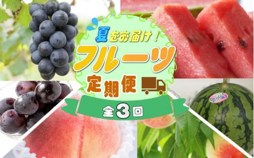 【定期便】夏をお届け!フルーツ定期便!小玉すいか・桃・ピオーネ(全3回)/ フルーツ 果物 すいか ひとりじめ7 もも モモ ぶどう ブドウ  旬 定期便  【tkb345】