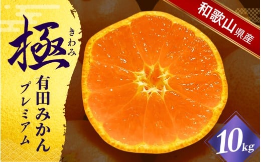 ＼光センサー選別／極 有田みかんプレミアム 10kg【選りすぐりの上位20％をお届け】2S～Lサイズ 有機質肥料100% ※2025年11月下旬頃～2026年1月上旬頃に順次発送予定 ※北海道・沖縄・離島への配送不可/ミカン 蜜柑 柑橘 フルーツ くだもの 果物 温州 有田 甘い 高級 贈答品 贈り物 新鮮 10kg 12月 【nuk156C】