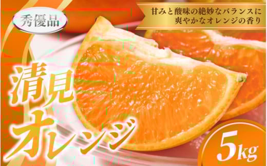 【先行予約】秀優品  清見オレンジ  5kg ※箱込み ※秀優混合【S～３Lサイズ混合】【2026年3月中旬から2026年4月中旬頃に順次発送】/みかん 清見 和歌山 フルーツ 有田 果物 オレンジ 甘い ジューシー【agy020A】