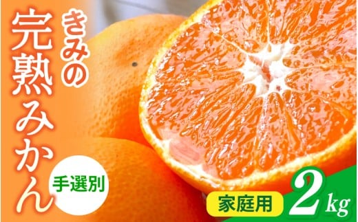 あま~い! カツオの有機肥料が味の決め手! 「きみの完熟ミカン」 約2kg (15~25個程度) サイズ混合 2S~L ご家庭用(秀優混合) 紀美野町産 /みかん ミカン 柑橘 和歌山県 有機 手選別 【kmf010A】