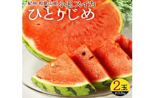 紀州和歌山産小玉スイカ「ひとりじめ」2玉【先行予約】※2026年6月上旬頃~7月上旬頃に順次発送予定(お届け日指定不可) スイカ すいか 果物【uot779】