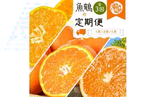 【全3回】紀州和歌山産旬の柑橘定期便(みかん・不知火・清見オレンジ)【tkb384】