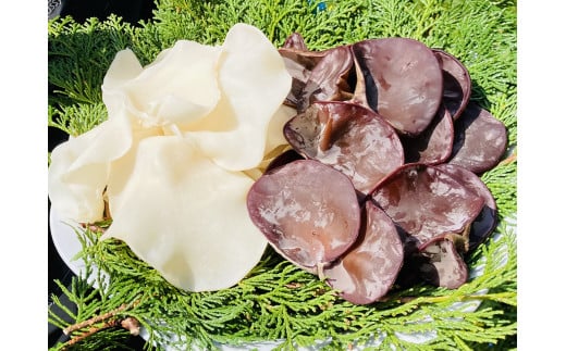 0102204 「生」黒きくらげ（250ｇ）と「生」白きくらげ （200ｇ）の２種セット（高知県仁淀川町産）