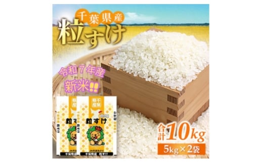「令和7年産」千葉県産　粒すけ　精米10kg(5kg×2袋)【1584228】