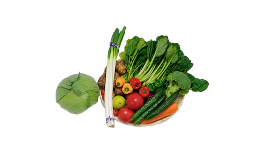 朝採り野菜詰め合わせセット【1010880】