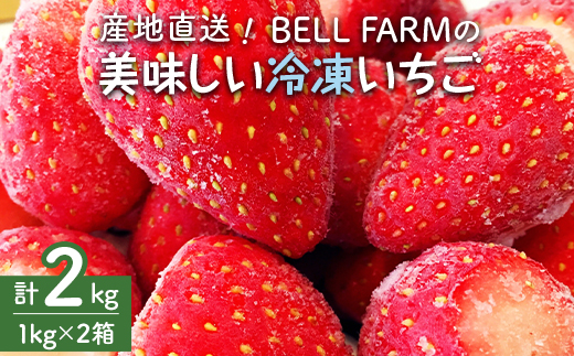 農家直送!削りイチゴパフェも楽しめるBELL FARMの美味しい冷凍いちご2kg＜苺1kg×2箱＞【1013445】