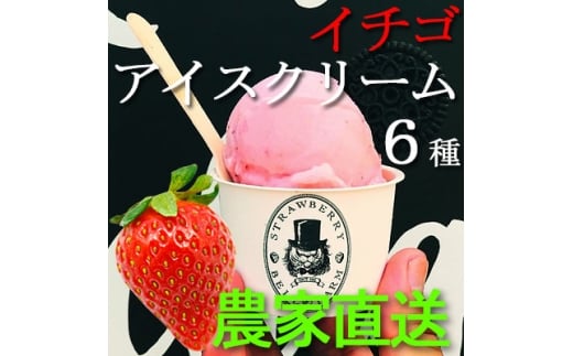 摘み立て苺アイス 人気のいちごアイスクリームセット　Bell Farm のこだわり 6個セット【1133535】