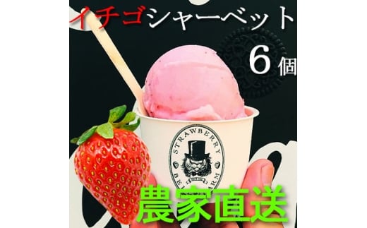 農家直送!の美味しい いちごシャーベット　BELL FARM 2種×3　6個セット【1384266】