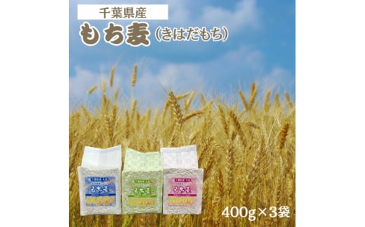 もち麦セット　食物繊維たっぷりの「もち麦」(きはだもち) 400g×3袋 千葉県横芝光町産【1522910】