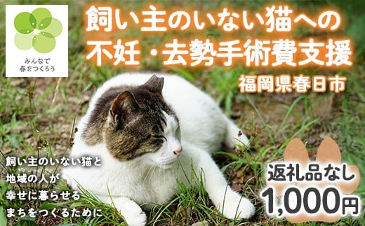 飼い主のいないねこと地域の人が幸せに暮らせるまちづくり支援 (返礼品なし) 猫 ねこ 地域猫 支援 TNR活動 去勢 【ksgsn02】【福岡県春日市】