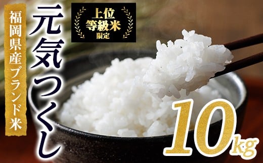 <先行予約受付中!2025年10月に順次発送予定・数量限定>JAよりお届け!福岡県産米 元気つくし (計10kg)お米 おこめ 米 こめ コメ 白米 福岡県産 ブランド米 常温 常温保存【ksg1814】【農産物直売所ほたるの里】