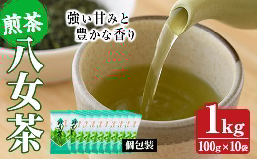 八女茶(計1kg・100g×10袋) お茶 緑茶 煎茶 茶葉 小分け 常温 常温保存【ksg0012】【お茶の星陽園】