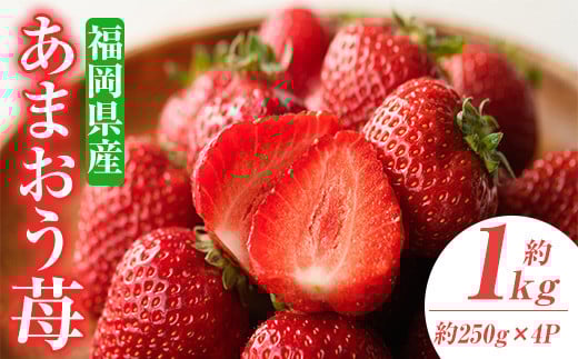 <先行予約受付中!2026年2月上旬~2026年3月末に順次発送予定>あまおう苺・春(4P)いちご 苺 フルーツ 果物 くだもの 福岡限定  家庭用 冷蔵 <離島配送不可>【ksg0045】【南国フルーツ】