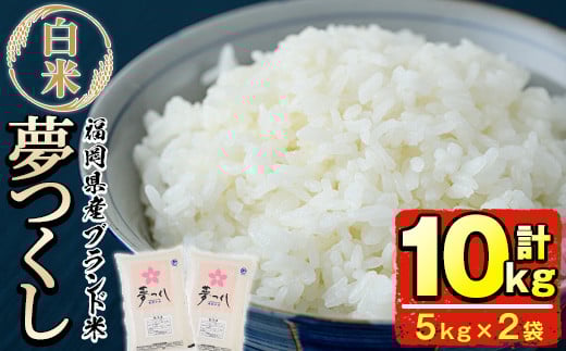 <令和7年産>福岡県産ブランド米「夢つくし」白米(計10kg・5kg×2袋) お米 10キロ ごはん ご飯【ksg0372】【朝ごはん本舗】